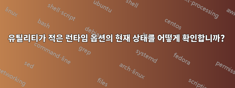 유틸리티가 적은 런타임 옵션의 현재 상태를 어떻게 확인합니까?