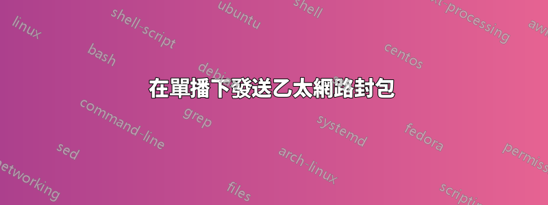 在單播下發送乙太網路封包