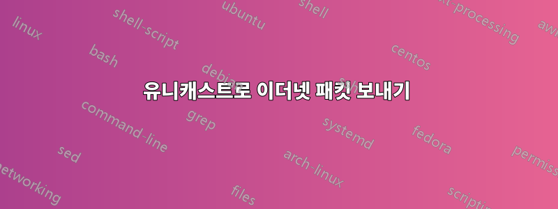 유니캐스트로 이더넷 패킷 보내기