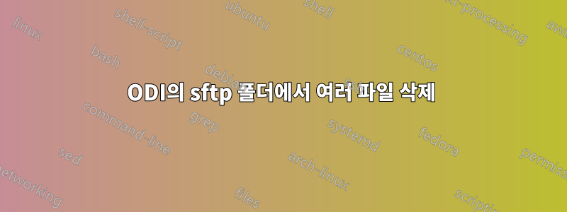 ODI의 sftp 폴더에서 여러 파일 삭제