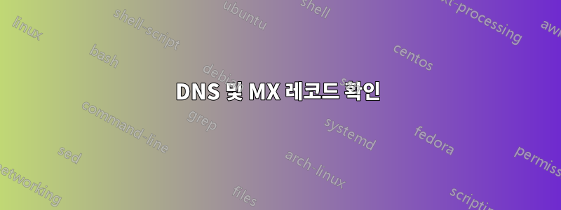 DNS 및 MX 레코드 확인