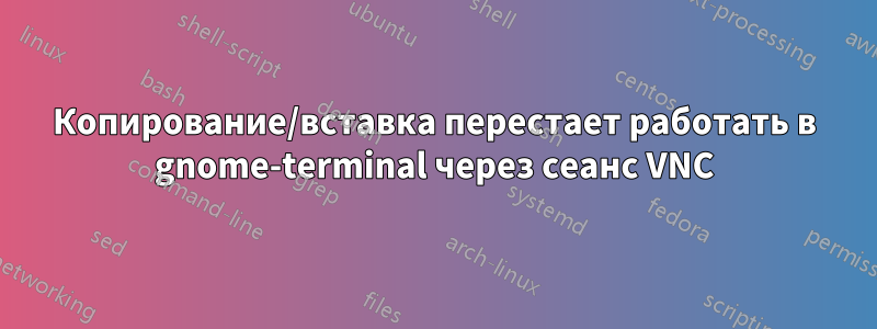 Копирование/вставка перестает работать в gnome-terminal через сеанс VNC