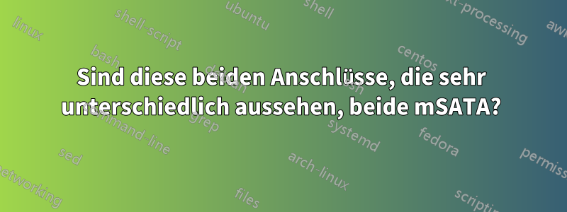 Sind diese beiden Anschlüsse, die sehr unterschiedlich aussehen, beide mSATA?