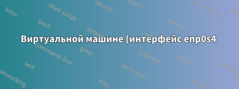 Виртуальной машине (интерфейс enp0s4) не назначен динамический адрес IPv4