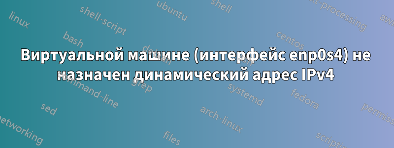 Виртуальной машине (интерфейс enp0s4) не назначен динамический адрес IPv4