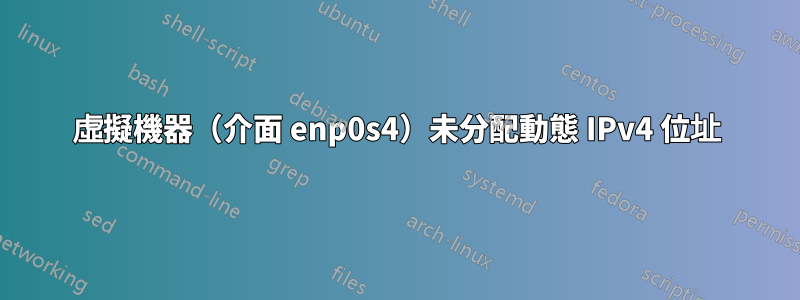 虛擬機器（介面 enp0s4）未分配動態 IPv4 位址