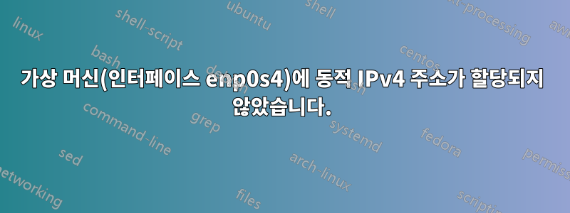 가상 머신(인터페이스 enp0s4)에 동적 IPv4 주소가 할당되지 않았습니다.