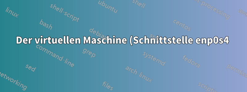 Der virtuellen Maschine (Schnittstelle enp0s4) wurde keine dynamische IPv4-Adresse zugewiesen