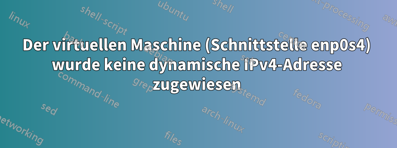 Der virtuellen Maschine (Schnittstelle enp0s4) wurde keine dynamische IPv4-Adresse zugewiesen