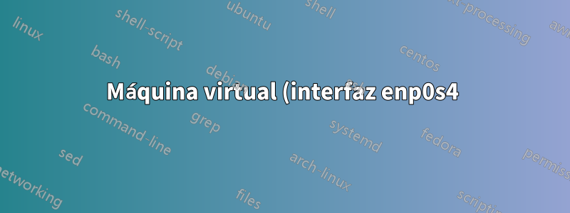 Máquina virtual (interfaz enp0s4) sin dirección IPv4 dinámica asignada