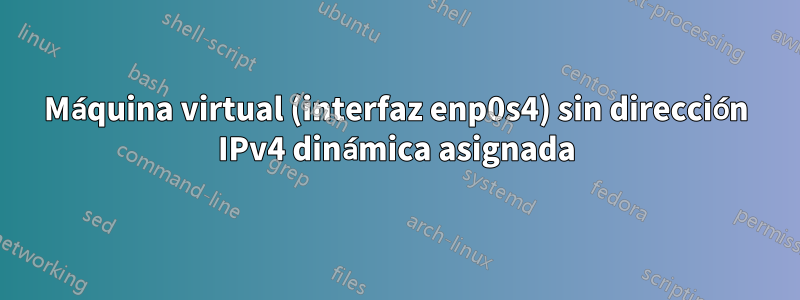 Máquina virtual (interfaz enp0s4) sin dirección IPv4 dinámica asignada