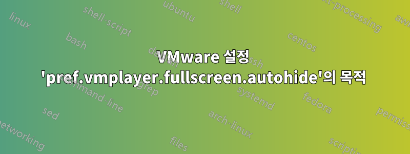 VMware 설정 'pref.vmplayer.fullscreen.autohide'의 목적