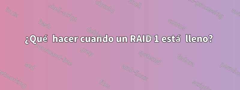 ¿Qué hacer cuando un RAID 1 está lleno?