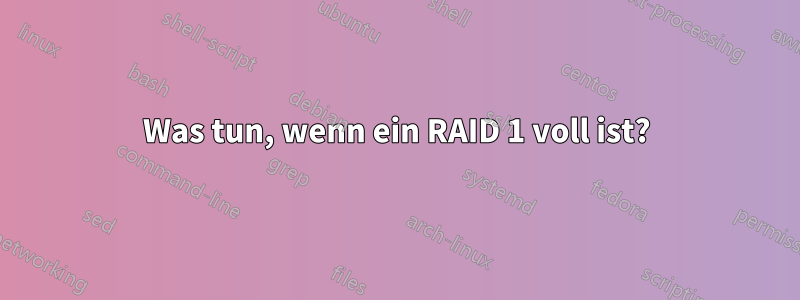 Was tun, wenn ein RAID 1 voll ist?