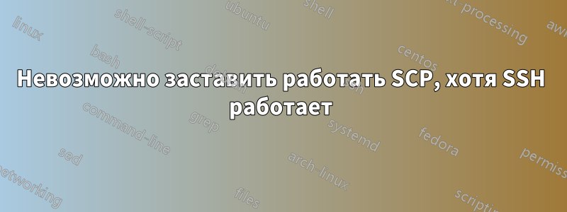 Невозможно заставить работать SCP, хотя SSH работает