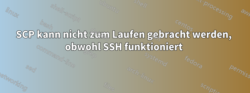 SCP kann nicht zum Laufen gebracht werden, obwohl SSH funktioniert