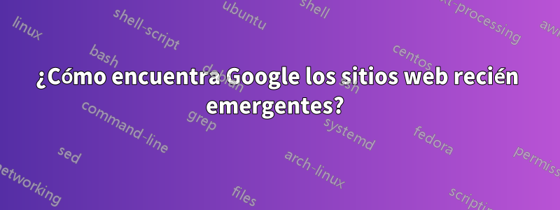 ¿Cómo encuentra Google los sitios web recién emergentes? 