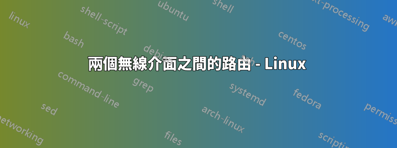 兩個無線介面之間的路由 - Linux