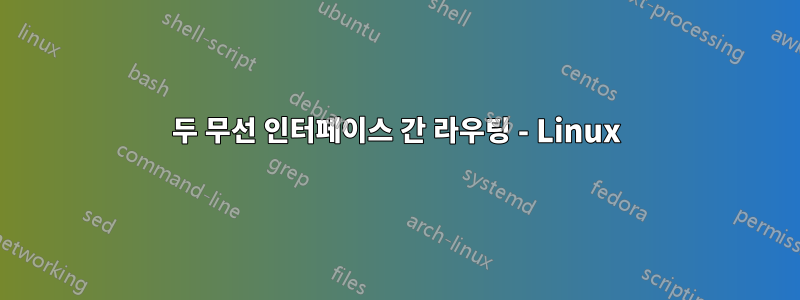 두 무선 인터페이스 간 라우팅 - Linux