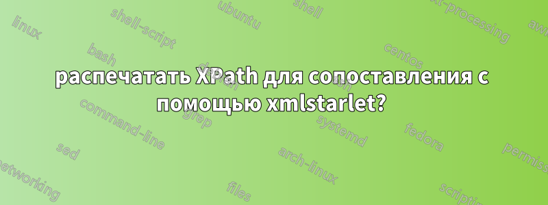 распечатать XPath для сопоставления с помощью xmlstarlet?