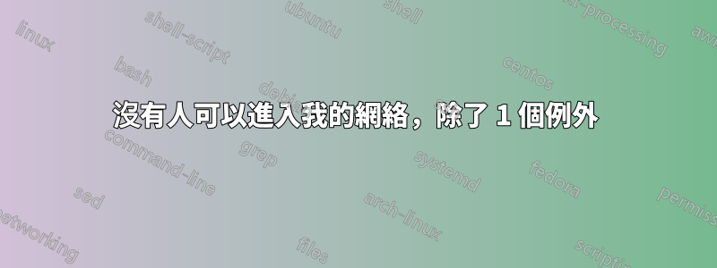 沒有人可以進入我的網絡，除了 1 個例外