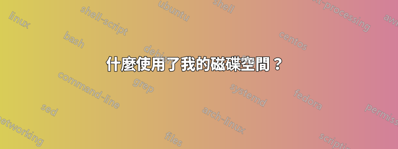 什麼使用了我的磁碟空間？ 