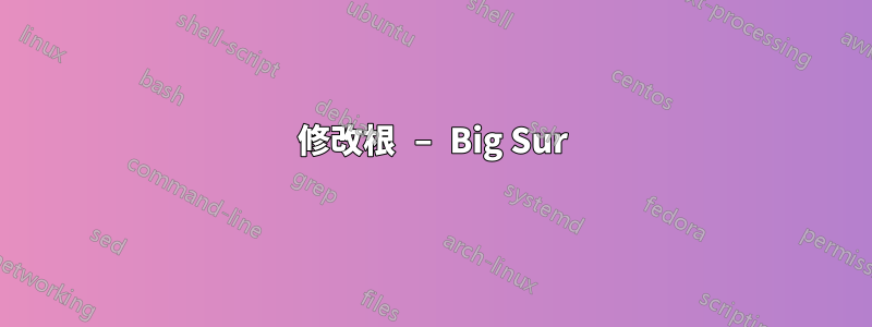 修改根 – Big Sur