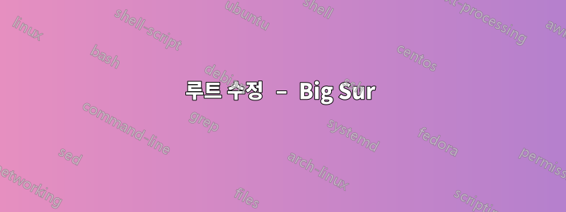 루트 수정 – Big Sur