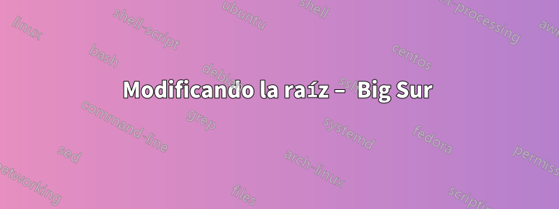 Modificando la raíz – Big Sur