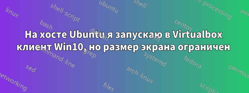 На хосте Ubuntu я запускаю в Virtualbox клиент Win10, но размер экрана ограничен