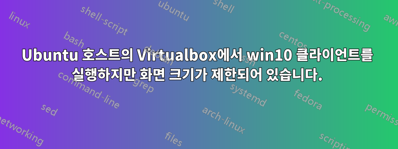 Ubuntu 호스트의 Virtualbox에서 win10 클라이언트를 실행하지만 화면 크기가 제한되어 있습니다.