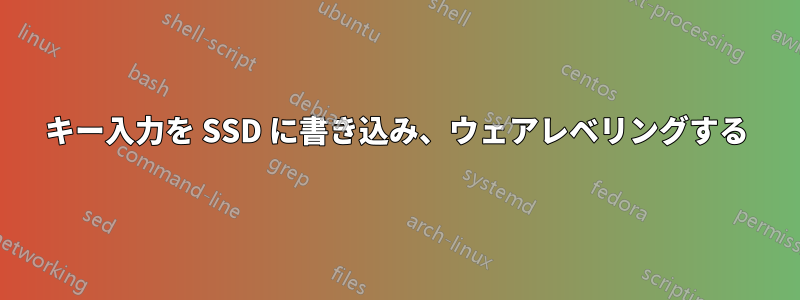 キー入力を SSD に書き込み、ウェアレベリングする