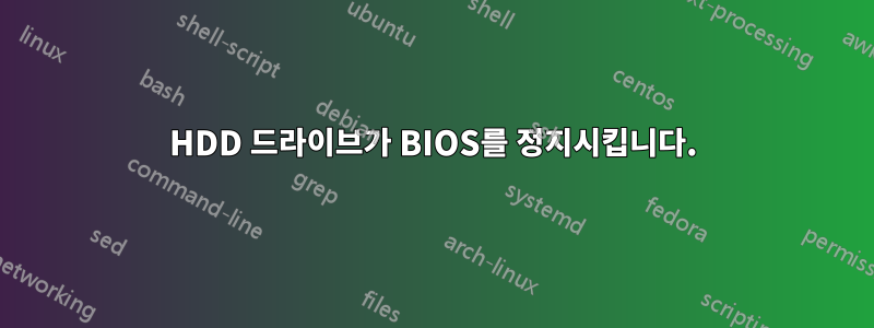 HDD 드라이브가 BIOS를 정지시킵니다.