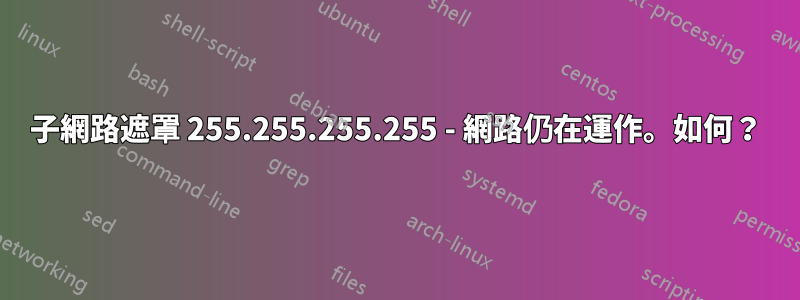 子網路遮罩 255.255.255.255 - 網路仍在運作。如何？