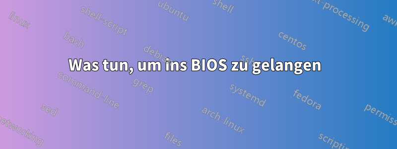 Was tun, um ins BIOS zu gelangen 