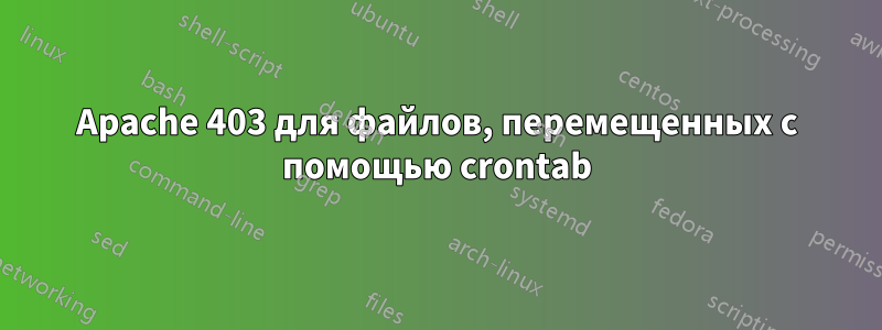 Apache 403 для файлов, перемещенных с помощью crontab