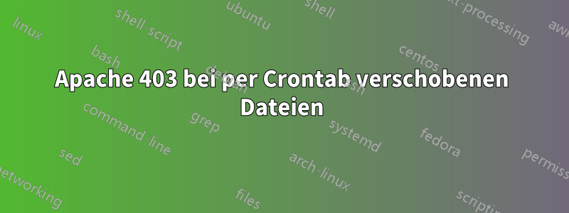 Apache 403 bei per Crontab verschobenen Dateien