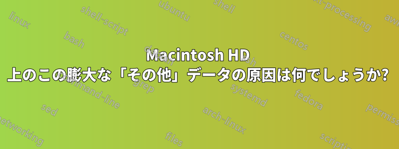 Macintosh HD 上のこの膨大な「その他」データの原因は何でしょうか?