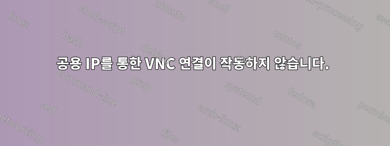 공용 IP를 통한 VNC 연결이 작동하지 않습니다.