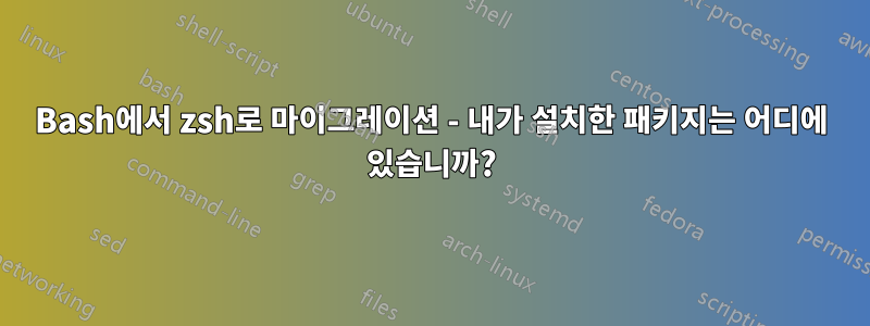 Bash에서 zsh로 마이그레이션 - 내가 설치한 패키지는 어디에 있습니까?