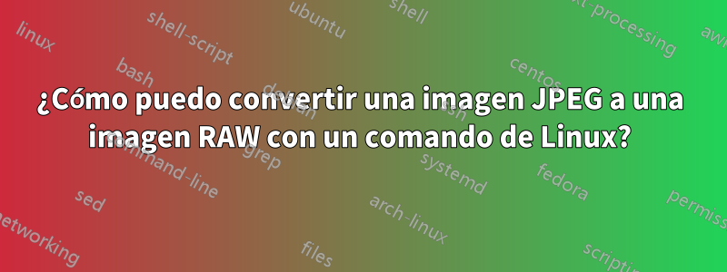 ¿Cómo puedo convertir una imagen JPEG a una imagen RAW con un comando de Linux?