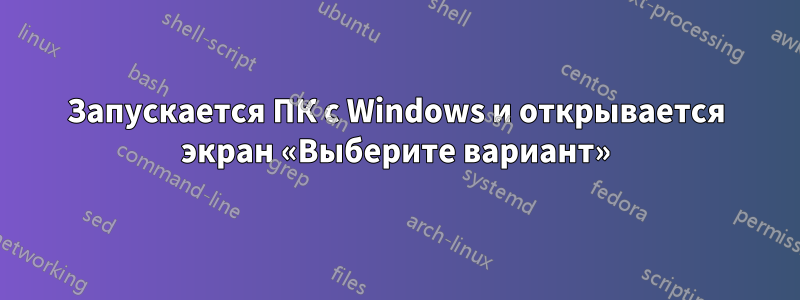 Запускается ПК с Windows и открывается экран «Выберите вариант»