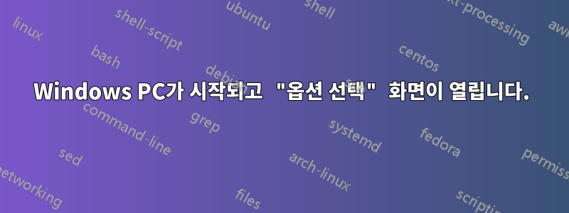 Windows PC가 시작되고 "옵션 선택" 화면이 열립니다.