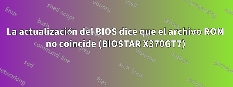 La actualización del BIOS dice que el archivo ROM no coincide (BIOSTAR X370GT7)