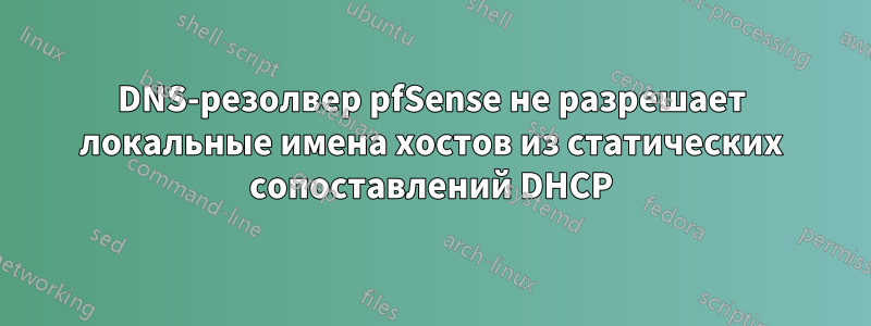 DNS-резолвер pfSense не разрешает локальные имена хостов из статических сопоставлений DHCP