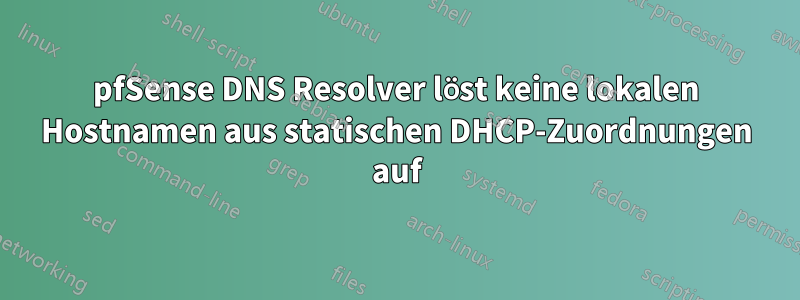 pfSense DNS Resolver löst keine lokalen Hostnamen aus statischen DHCP-Zuordnungen auf