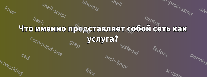 Что именно представляет собой сеть как услуга?