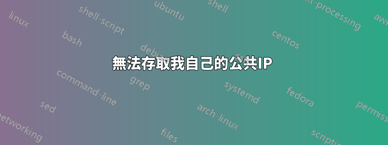 無法存取我自己的公共IP