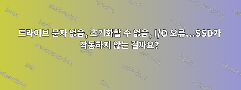 드라이브 문자 없음, 초기화할 수 없음, I/O 오류...SSD가 작동하지 않는 걸까요?