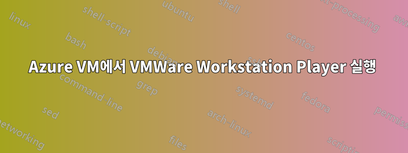 Azure VM에서 VMWare Workstation Player 실행